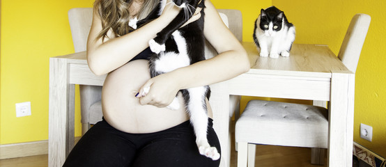 Pregnant with cats