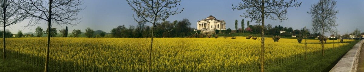 Panoramica Villa La Rotonda Palladio Vicenza - obrazy, fototapety, plakaty