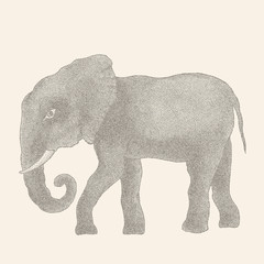 Elephant. Vector illustration