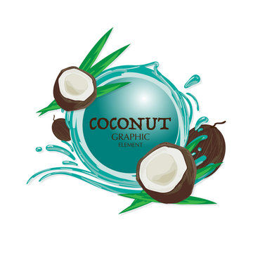 fruit coconut graphic element design logo key visual water splash background