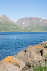 Hafen-/ Küsten-Landschaft in den Westfjorden, Island