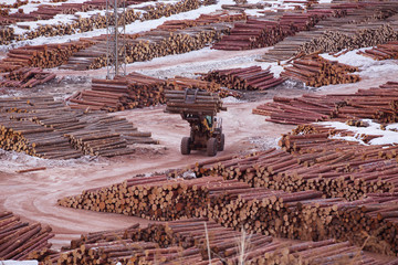 Deforestation, logging, woodworking, timber storage, deforestation in the taiga