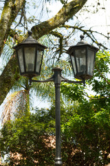 Luz