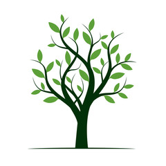Fototapeta premium Green Tree. Vector Illustration.