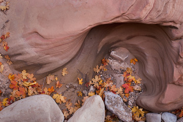 Red autumn maple leaves gathered in a curve of sandstone that seasonal floods have eroded in a dry...