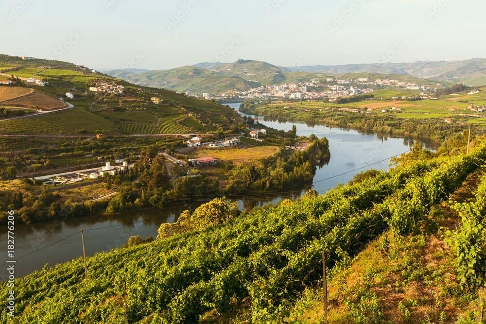 Wall mural Top view of Douro river, and the vineyards are on a hills, Douro Valley, Portugal. .