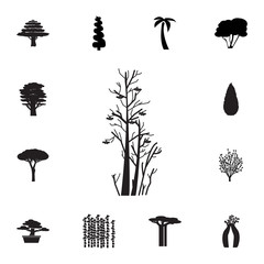 Rowan tree icon. Set of silhouette of tree icons. Web Icons Premium quality graphic design. Signs, outline symbols collection, simple icons for websites, web design, mobile app