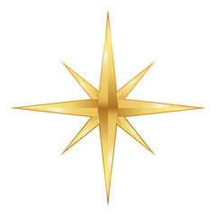 Golden star icon. Vector illustration.