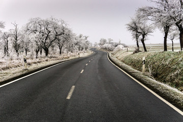 Fototapeta premium Landstrasse im Winter