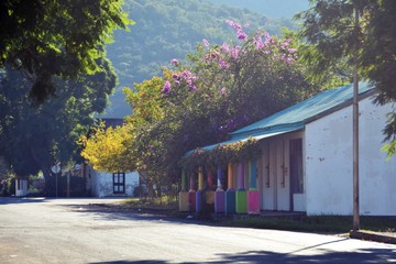 sunrise in side street, Bedford, Eastern Cape, South Africa