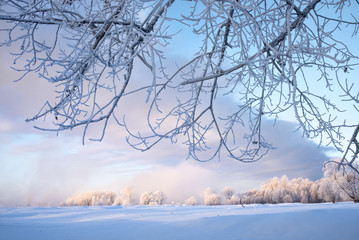 Snowy frozen landscape of sunrise on lakeside with trees
