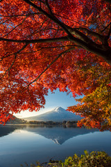 Colorful Autumn Season and Mountain Fuji with morning fog and red leaves at lake Kawaguchiko is one...