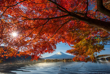 Colorful Autumn Season and Mountain Fuji with morning fog and red leaves at lake Kawaguchiko is one...