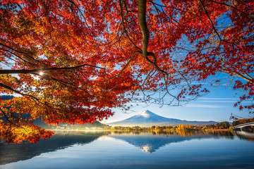 Naklejka na ściany i meble Colorful Autumn Season and Mountain Fuji with morning fog and red leaves at lake Kawaguchiko is one of the best places in Japan
