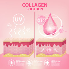 Collagen Serum Skin Care Cosmetic