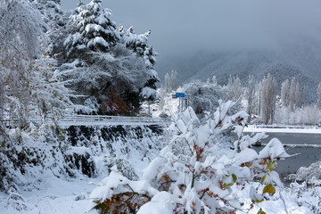 Snow in Autumn