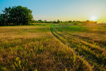 Landscape field with rural road at sunset