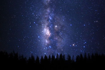 Naklejka premium Beautiful milkyway and silhouette of pine tree on a night sky before sunrise.