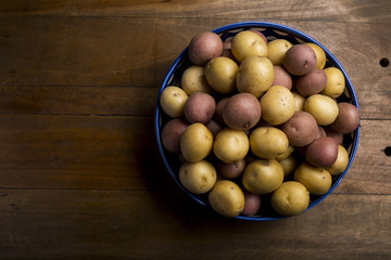 High Angle Raw multi-colored small potatoes in ceramic bowl on wood