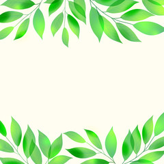 Green leaves frame on white background, vector illustration