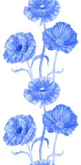 monochrome seamless border with nice poppies on white background. watercolor painting