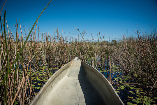 Makoro canoes Okavango Delta