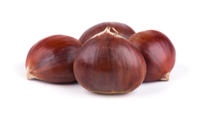 Fresh chestnuts isolated on white background. Hippocastanum isolated. Chestnut with clipping path