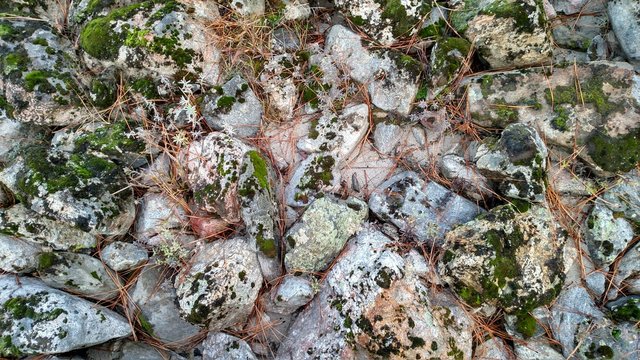 River Rocks