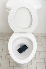Smartphone Dropped Into Toilet