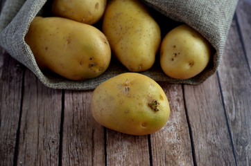 Harvest potatoes in burlap sack on wooden background