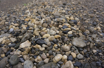 Detail of surface texture with small pebble rock on dirty ground.
