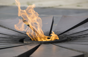 Burning an eternal flame in a circle with petals