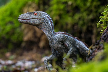 toy dinosaur raptor in the forest 