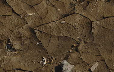 Cracked ground textures drought