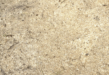 Wood sawdust texture material background closeup, top view