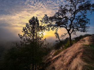 Fototapeta na wymiar Foresthill - Foggy Sunrise
