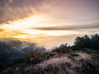 Fototapeta na wymiar Foresthill Sunrise - Blanket of fog