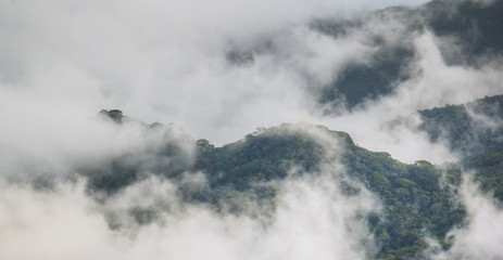 Fog in the moutain