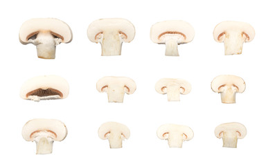 Champignons isolated on white