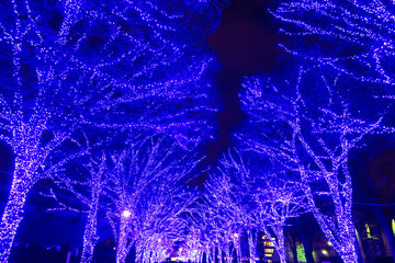 クリスマスイルミネーション