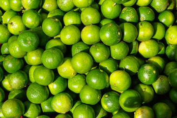 Pile of fresh rounded organic lime fruit background in bright yellow and green color selling in market under sunlight with light reflection skin