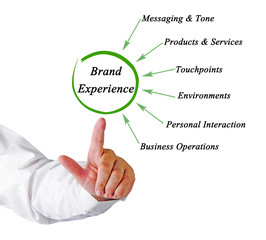Brand Experience