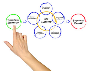 Human Resource Systems