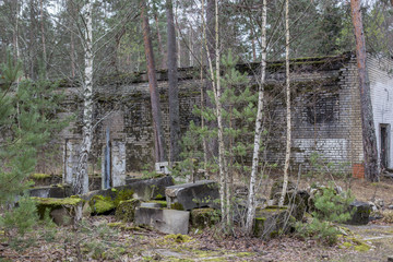 grass, birch, light, trunk, trees, bark, europe, latvia, travel, stones, moss, dilapidated, building, ruins, old, path, leaves, hiking, natural, wooden, wild, season, rock, autumn, background, 