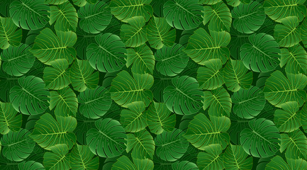 Leaves seamless pattern background