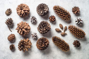 Fototapeta na wymiar Christmas background with pine cones.