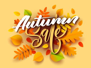 Autumn banner background with fall leaves. Vector illustration