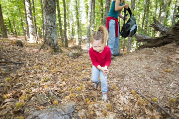 four years age blonde child with red shirt, blue jeans and pigtail, near mother woman with backpack in hand, looking leaves and picking chestnuts in ground in autumn forest

