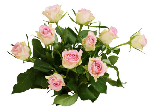 Beautiful white and pink roses flowers bouquet