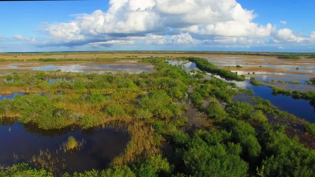 Aerial view of Everglades Swamps on a beautiful winter day, Florida
